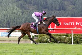 Sampson (NZ) produced another top-class performance winning the Listed Yealands Family Wines New Zealand St Leger. Photo: Trish Dunell